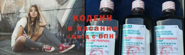 твердый Козельск