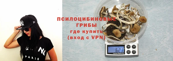 твердый Козельск