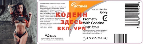 твердый Козельск