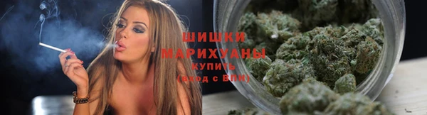 ГАЛЛЮЦИНОГЕННЫЕ ГРИБЫ Козловка