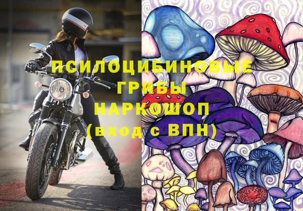 ГАЛЛЮЦИНОГЕННЫЕ ГРИБЫ Козловка