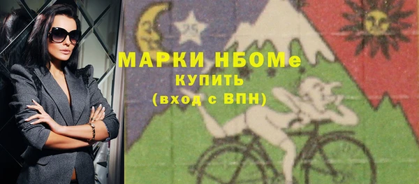 твердый Козельск