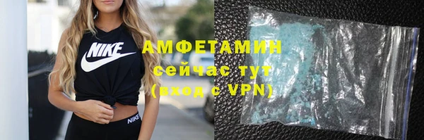 твердый Козельск