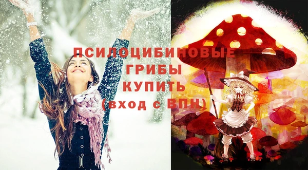 ГАЛЛЮЦИНОГЕННЫЕ ГРИБЫ Козловка