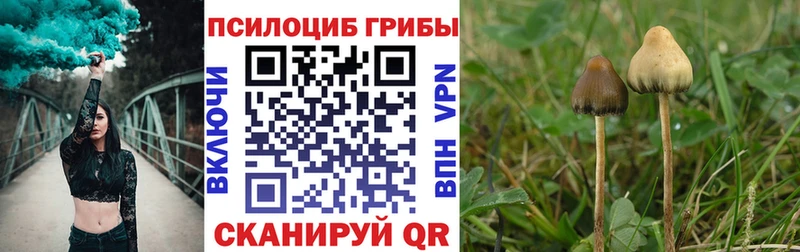 Псилоцибиновые грибы Magic Shrooms  Купить  Ряжск 